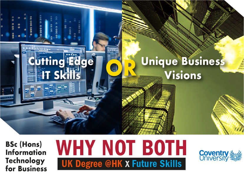 BSc (Hons) Information Technology for Business