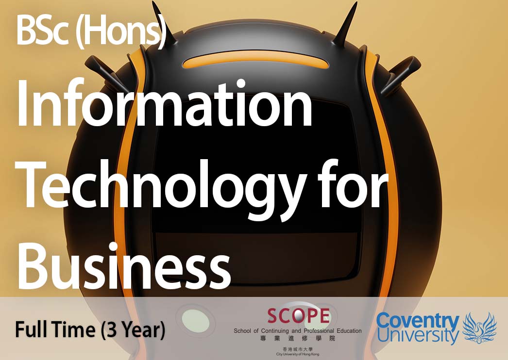 BSc (Hons) Information Technology for Business 商業資訊科技榮譽理學士