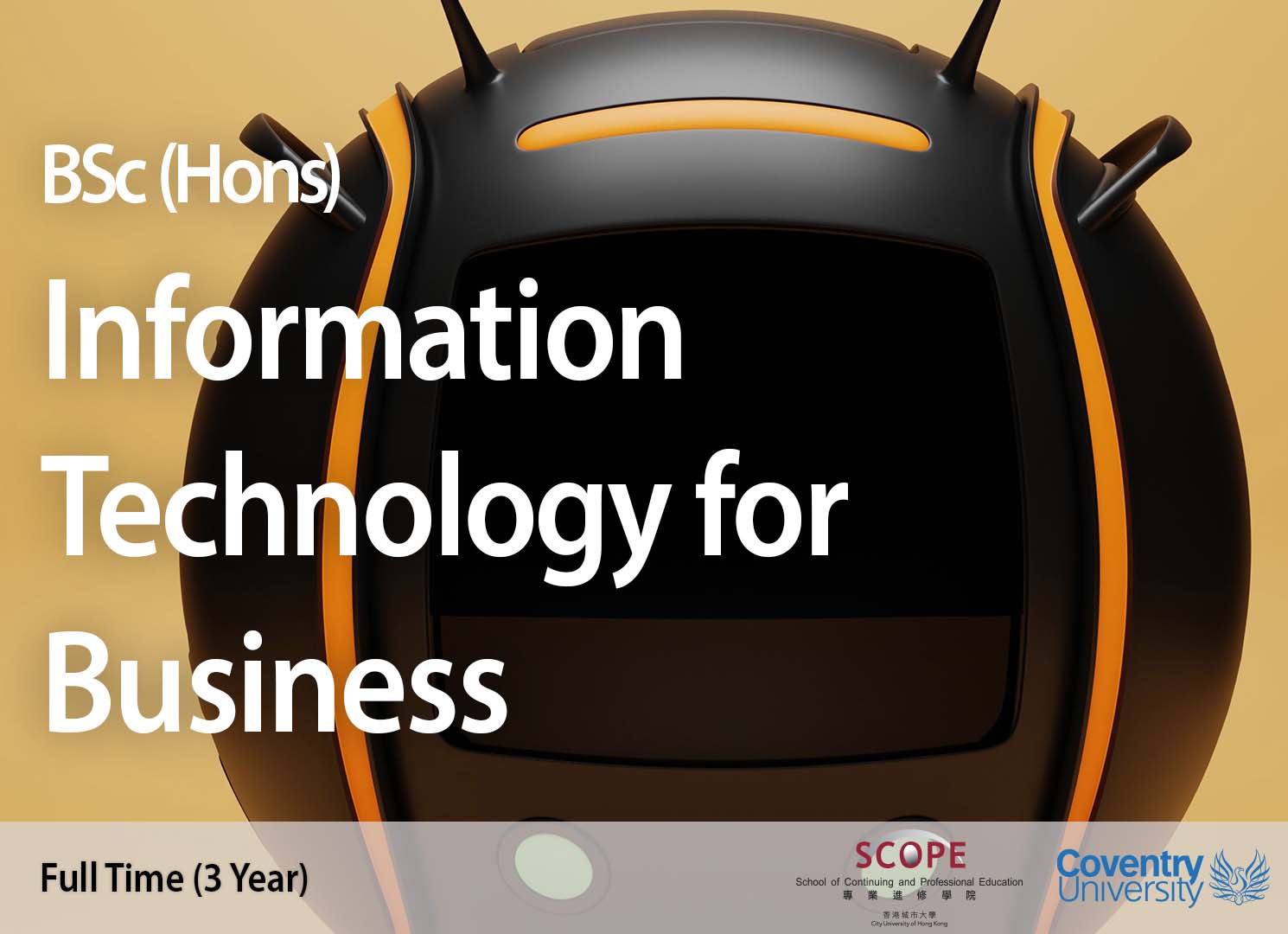 BSc (Hons) Information Technology for Business 商業資訊科技榮譽理學士