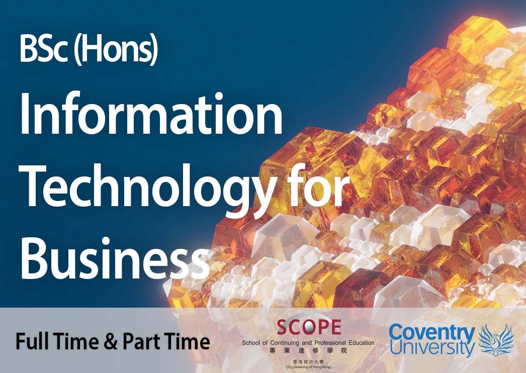 BSc (Hons) Information Technology for Business